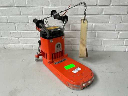 2018 Künzle & Tasin Pegasus Elektrischer Randschleifer