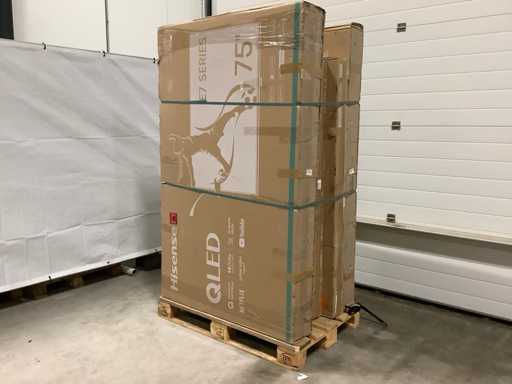 Televizoare cu palete - 5 articole