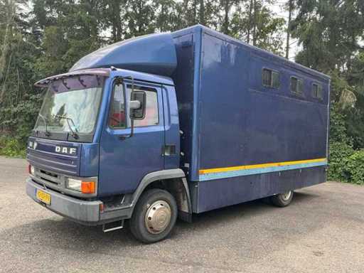 Daf - AE08CN - Geschlossener Lastwagen / Pferdewagen