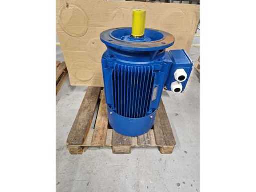 MOLL  IEC electromotor