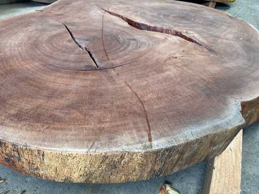 Guyana Teak houten schijf 1400mm