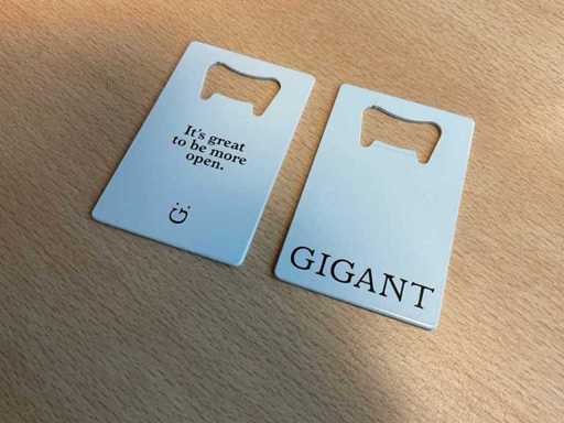 Metal Bottle Opener Bank Card Size (1600x)
