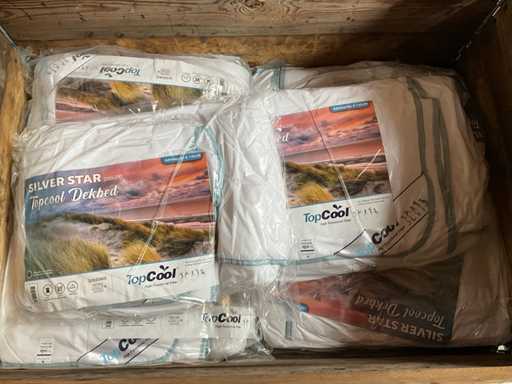 Silverstar Topcool Bettdecke 200 x 200 cm (9x)