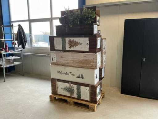 Divers sapins de Noël (14x)