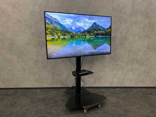 NEC M651 - 65" 4K UHD monitor with tripod