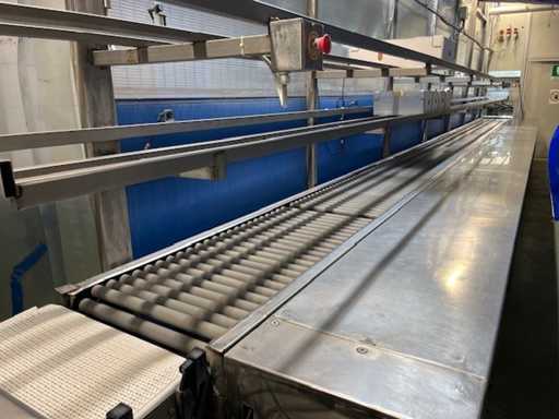 Roller conveyor belt after weighing anatomical cuts