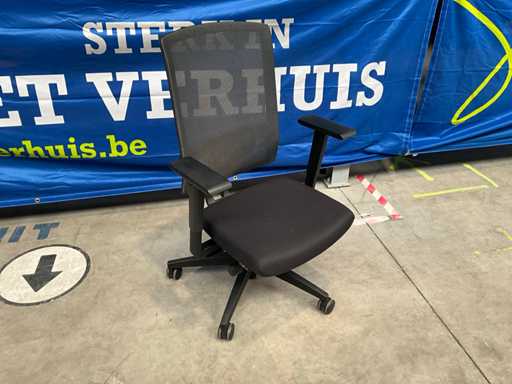 Viasit Ergonomic office chair (2x)