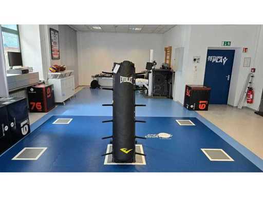 EVERLAST Punching Bag