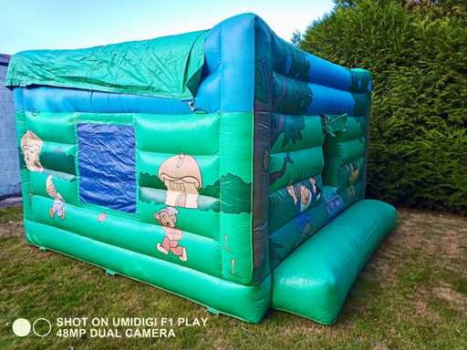 Bouncy castle "Gnome"