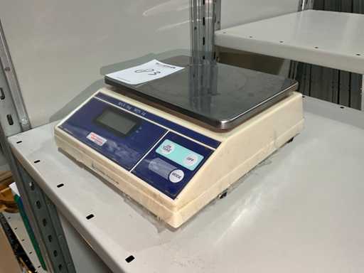 Weigh Station F177 Scale