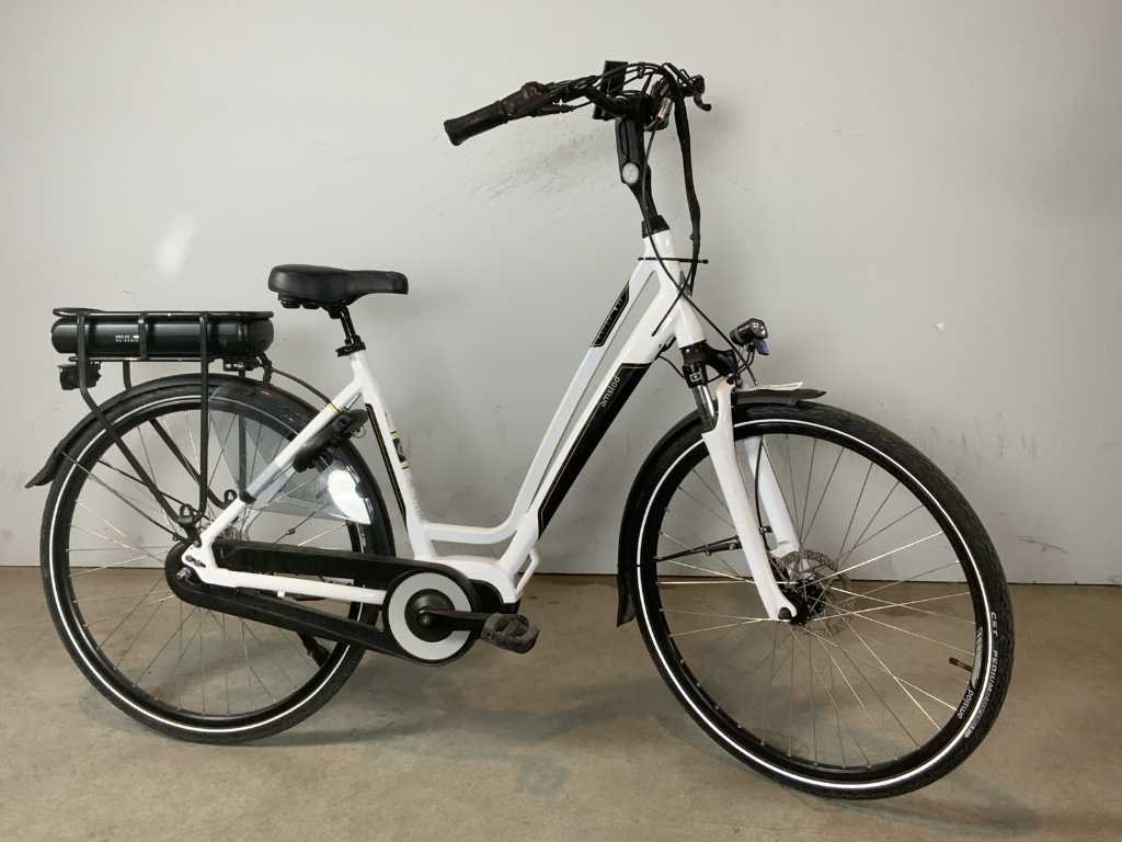 Electric bike