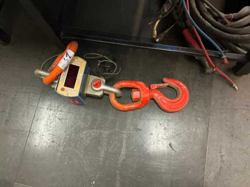 Indiload Crane Scale