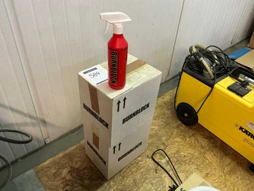 Ignifugo a blocchi bruciati (24x)