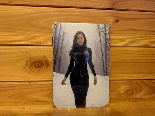 Metalen reclamebord 30x20cm