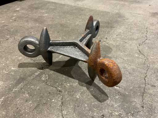 Eine Gruppe von Mähenpfadzähnen