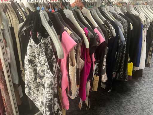 Diverse losse fashion tops (25x)