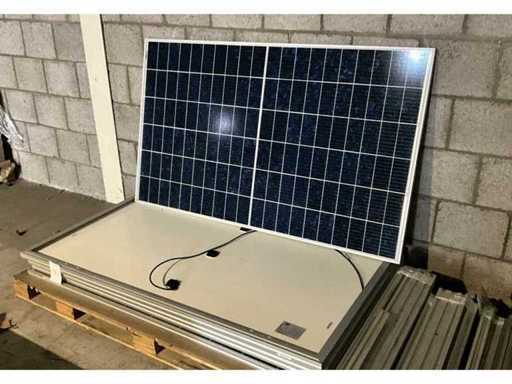 Bankruptcy of Soly BV Leek