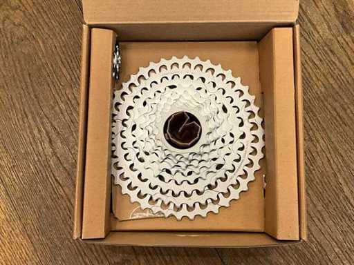 Campagnolo Ekar cassette 13s 9-42