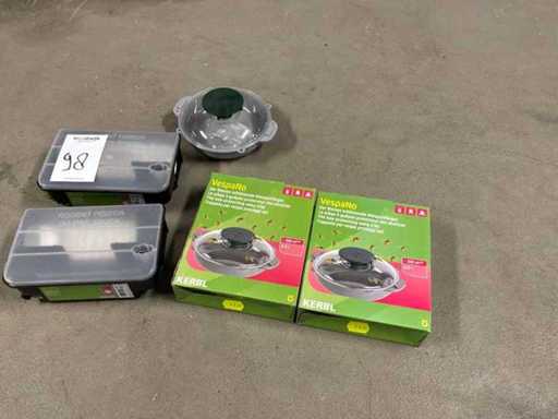 Gruppo di cacciatori di vespe