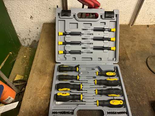 Workzone schroevendraaierset