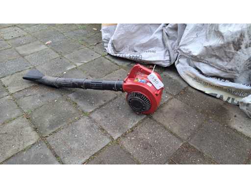 Robin - FL 251 - Dmuchawa do liści