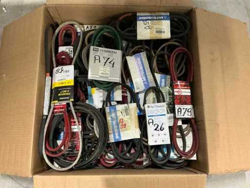 V-Gurte A - A79 (100x)