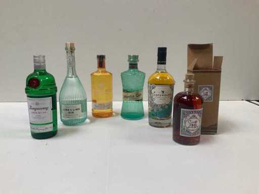 Gin (6x)
