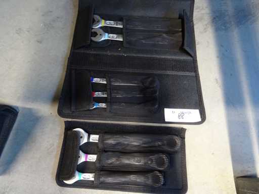 Wera - Ringsteeksleutelset