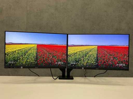 Iiyama ProLite - Monitor 24" con braccio monitor - HDMI, DVI, VGA