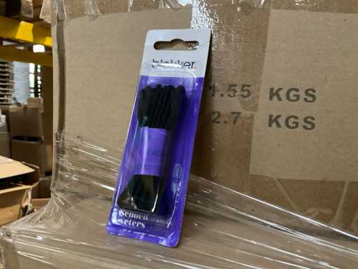 Blokker Schoenveter (6480x)