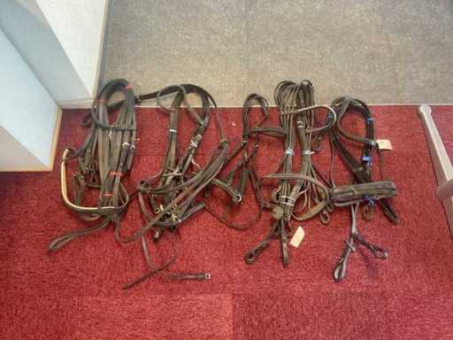 Bridles (5x)