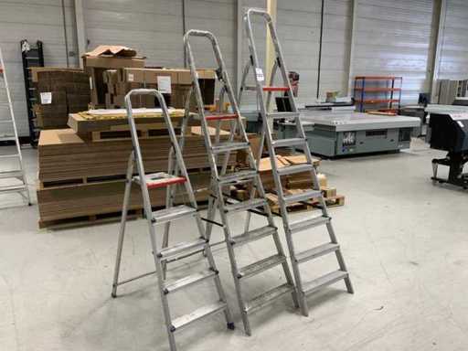 Altrex ladder (3x)