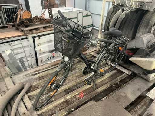 Pegasus Women's Bike