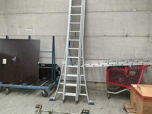 Solid D14 Straight Ladder