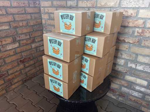 Boîtes mystère - NEUVES et dans leur emballage original ! 10 boîtes !