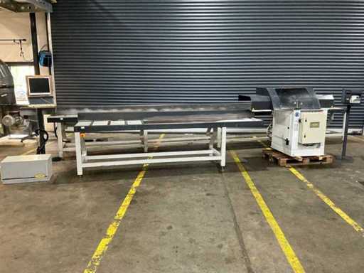 H&M - 2005 - HM-D - Crosscut circular saw machine
