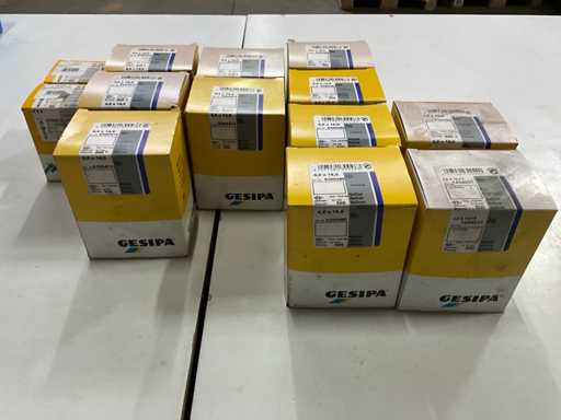 Gesipa Various sizes of blind rivets (13x)