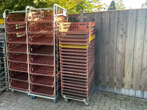 Zeelandia Broodmand (36x)