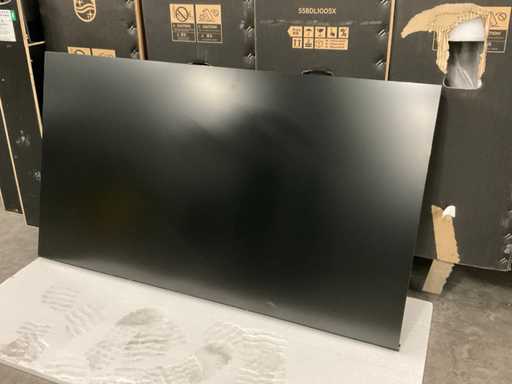 Philips 55BDL1005X Monitor 55"