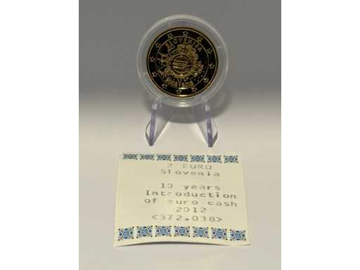 Moneta commemorativa da 2 euro placcata in oro Slovenia 2012 10 anni euro