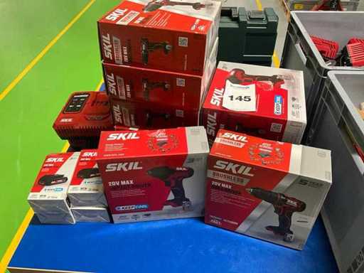 Skill Screwdriver (10x)