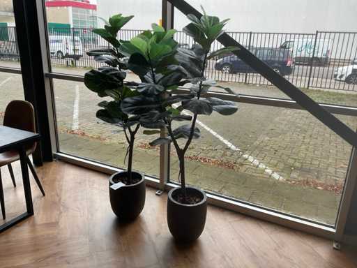 Piante d'appartamento artificiali (2x)