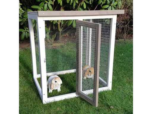 Clapier Senna Rabbit (2x)