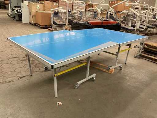 Tavolo da ping-pong