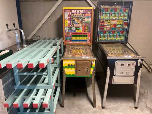 Bally Hawaii Speelautomaat