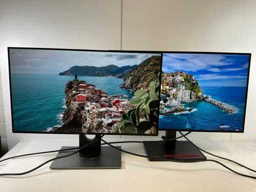 Moniteurs Dell / Lenovo Mix - Description de vérification (2x)