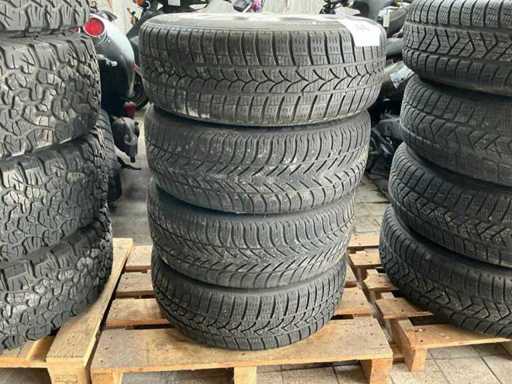 Tigar Winter a Autoband (4x)