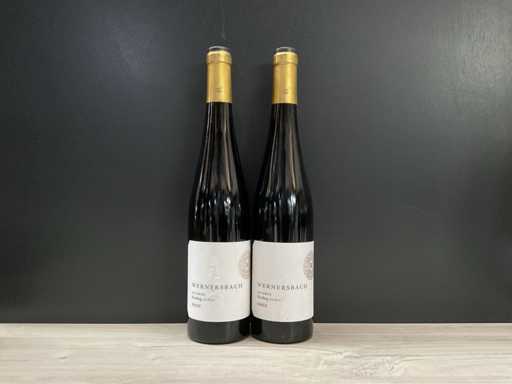 Wernersbach Aulerde Riesling 2020 (2x)