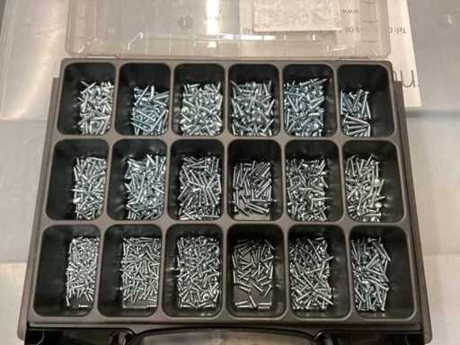 L Box small, Sortiment mit diversen Blechschrauben