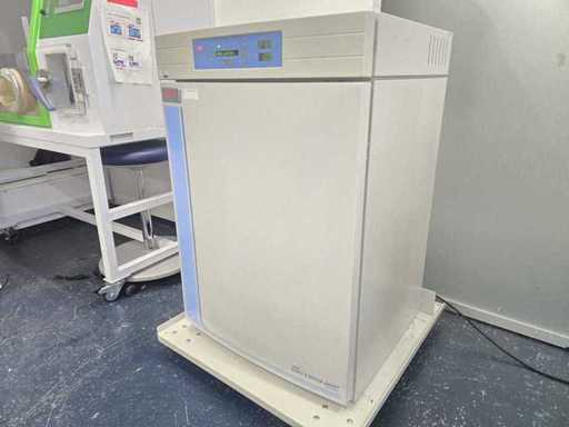 THERMO SCIENTIFIC - 3111 - Incubateur à CO2